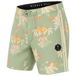 Vissla Bañador Sub Tropic 18.5 Sage Presentación