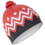 Bjorn Daehlie Nordic Beanie Pattern Dusty Red Overview