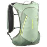 Salomon Backpack Cross 8 Green Milieu Agave Green Sharp Green Overview