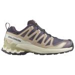 Salomon Trailrunning-Schuhe Xa Pro 3D V9 Gore-Tex W Nine Iron Oxford Tan Alfalfa Präsentation