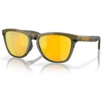 Oakley Sunglasses Frogskins Range Dark Brush Prizm 24k Polarized Overview
