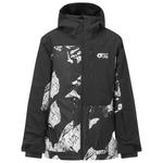 Picture Blouson Ski Daumy Ridding Spot Print Présentation