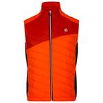 DARE2B Chaleco plumas Touring Puffins Orange Rooibos Tea Presentación