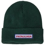 Patagonia Kid's Logo Beanie Chill Conifer Green 