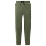 Picture Pantalon Chill Grape Leaf Melange Présentation