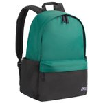 Picture Backpack Tampu 20 Backpack Bayberry Overview