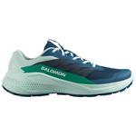 Salomon Botas de trail Alphaglide Poseidon Bay Parakeet Presentación