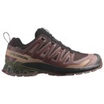 Salomon Trail shoes Xa Pro 3D V9 Gore-Tex Black Coffee Rum Raisin Olive Night Overview