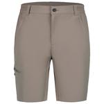Icepeak Pantaloncini da trekking Berwyn Granit Presentazione