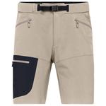 Norrona Wandershorts Falketind Flex1 Light Short Winter Twig Caviar Black Präsentation
