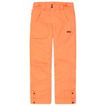 Picture Pantaloni da sci Time Pants Neon Flare Presentazione