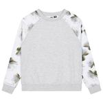 Picture Sudadera Blayr Crew Grey Melange Presentación