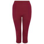 DARE2B Technical underwear In The Zone II 3/4 Fig Overview