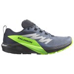 Salomon Trailrunning-Schuhe Sense Ride 5 Gtx Flint Stone Black Green Gecko Präsentation