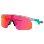 Oakley Sunglasses Resistor Matte Fog Prizm Field Overview