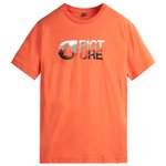 Picture T-Shirt Basement Nald Orange Rust Präsentation