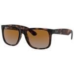 Ray Ban Occhiali da sole RB4165 Justin Classic Matte Havana Brown Grey Polar Presentazione