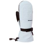 Dakine Mitten Womens Camino Mitt Ancient Water Overview