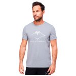 Asics Trail tee-shirt Overview