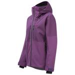 Picture Sygna Grape Royal 