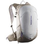 Salomon Trailblazer 20 Vintage Khaki Glacier Gray 