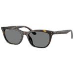 Ray Ban Lunettes de soleil RB4474D Polished Havana Dark Grey Présentation
