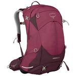 Osprey Rucksack Sirrus 34 Eldeberry Purple Chiru Tan Präsentation Osprey Rucksack Sirrus 34 Eldeberry Purple Chiru Tan Präsentation