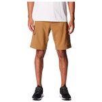 Columbia Hiking shorts Silver Ridge Utility Cargo Short Delta Overview