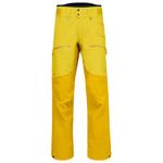 Norrona Pantaloni da sci Lofoten Gore-Tex Pro Pants M's Antique Moss Presentazione