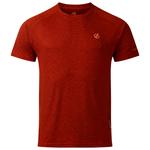 DARE2B Persist Tee Arabian Spice 