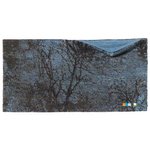 Smartwool Bandeau Thermal Merino Colorblock Headband Black Forest Overview