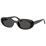Ray Ban Sunglasses RB4441D Polished Black Dark Grey Overview