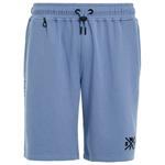 Watts Bermuda shorts Venice Infinity Overview