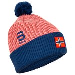 Bjorn Daehlie Mutsen noordse ski Hat Zemsi Norwegian Flag Voorstelling
