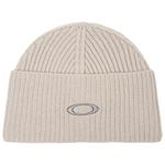 Oakley Berretto sci Ellipse Ribbed Beanie Mist Cement Presentazione