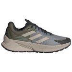 adidas Trail shoes Terrex Soulstride Flow Gore-Tex Chsogr Wonbei Olistr Overview