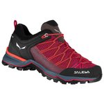 Salewa Approach shoes Overview