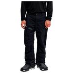 Quiksilver Ski pants Forever Gore Tex Black Overview
