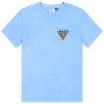 Picture Camiseta Chilanko Tee Shirt Washed Vista Blue Presentación