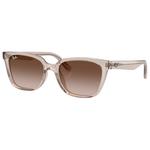 Ray Ban Sonnenbrille RB2243D Polished Light Brown Translucide Dark Brown Gradient Light Brown Präsentation