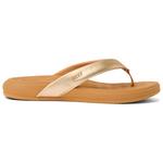 Reef Cushion Melody Champagne Präsentation