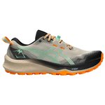 Asics Trail shoes Gel-Trabuco 12 Feather Grey Dark Mint Overview