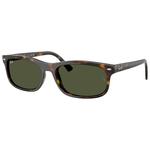 Ray Ban Lunettes de soleil RB2224 Polished Havana Green Présentation