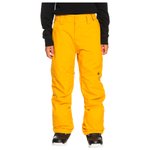 Quiksilver Ski pants Estate Pant Youth Mineral Yellow Overview