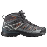 Salomon Hiking shoes X Ultra Pioneer Mid Gtx W Magnet Quiet Shade Coral Gold Overview
