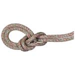 Mammut Kletterseil 9.5 Crag We Care Classic Assorted Präsentation
