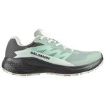 Salomon Scarpe da trail Alphaglide Gore-Tex W Asphalt Green Clearly Presentazione