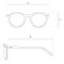 Binocle Eyewear Gafas Little California Clear Grey Polarized Detalle 2 Binocle Eyewear Gafas Little California Clear Grey Polarized Detalle 2