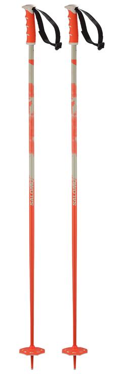 Salomon Pole Steep Nasturtium Rainy Day Overview