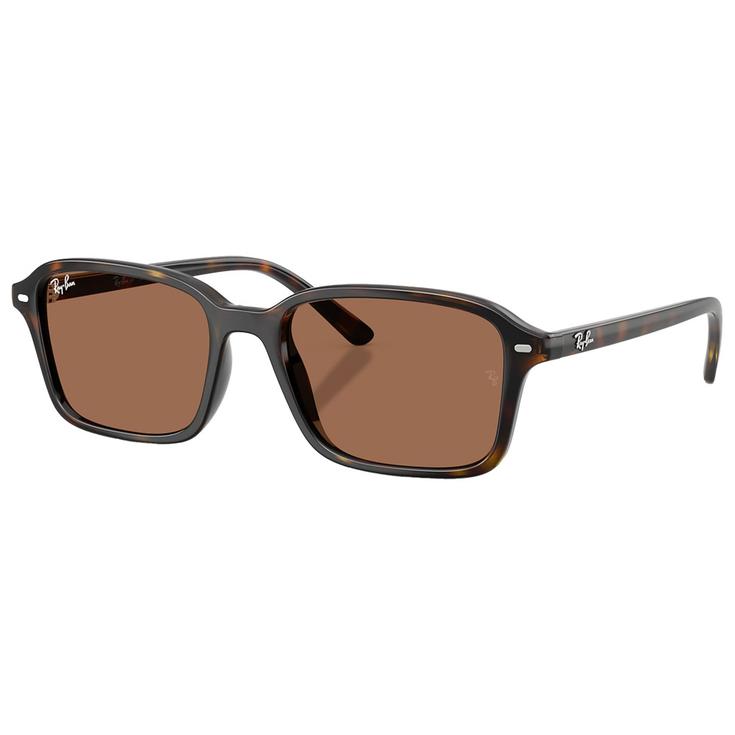 Ray Ban Gafas RB9131S Kids Polished Havana Dark Brown Presentación